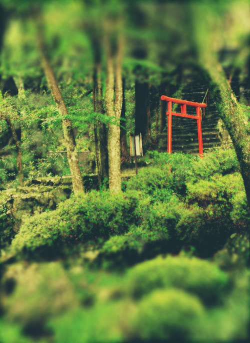 兼友さん　～仁和寺の法師たち～　徒然草