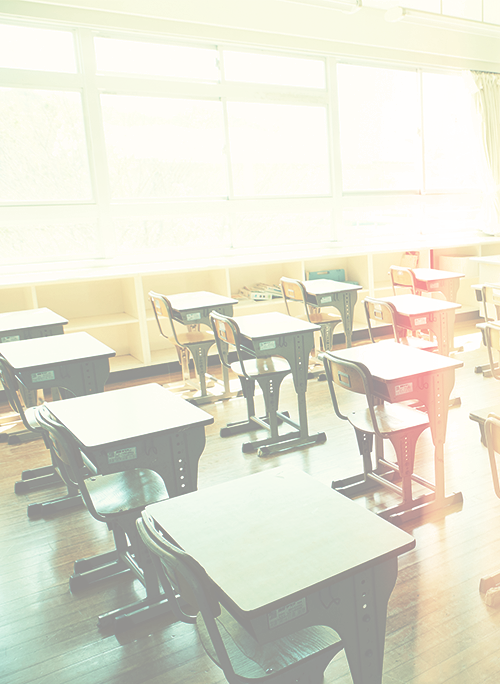 学校のねこさま