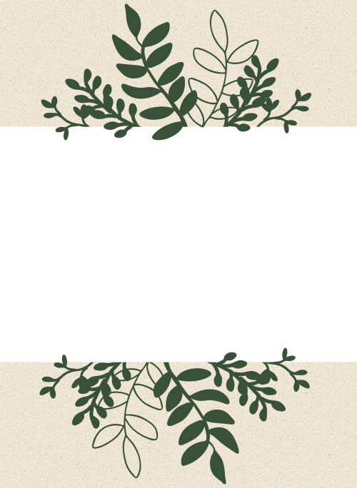 猫に関する隣人トラブル