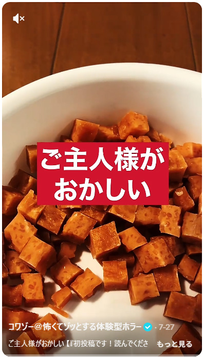 第2回モキュメンタリーホラー小説コンテスト 短編賞＆コワゾー賞受賞作品「初投稿です！読んでくださいm(_ _)m」。コワゾーさん作のショートドラマ