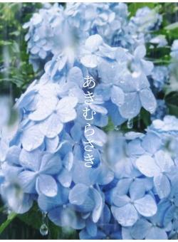 あきむらさき