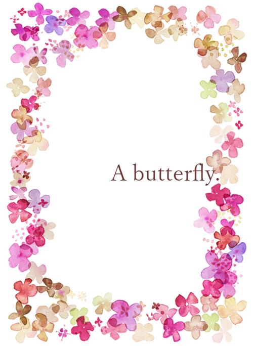 A butterfly.