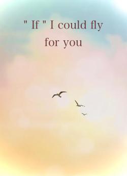 " If " I could fly for you