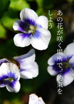 あの花が咲く場所で、約束をしよう