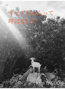 キットちゃんって呼ばないで