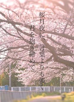 桜月夜に、言葉よりも強く君を抱き締めて。