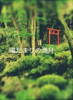 陽だまりの満月