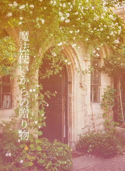 魔法使いからの贈り物