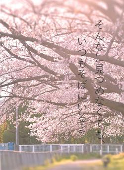 そんなに見つめなくても、いつもそばにいるよ