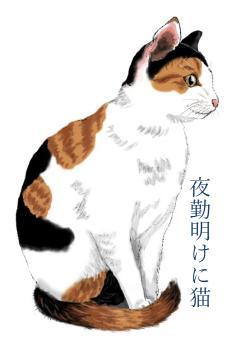 夜勤明けに猫