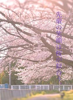 先輩の笑顔は桜が似合う。