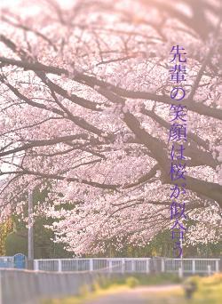 先輩の笑顔は桜が似合う