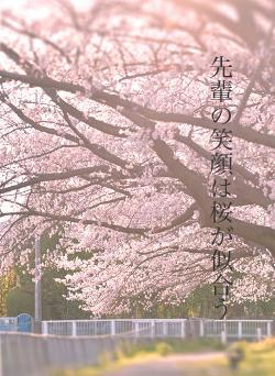 先輩の笑顔は桜が似合う