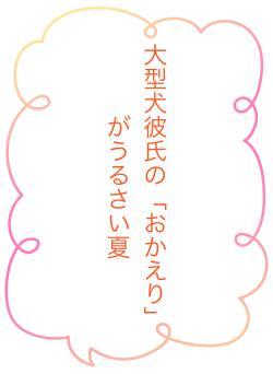 大型犬彼氏の「おかえり」がうるさい夏