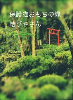 保護猫おもちの縁結びやさん