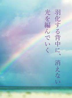 羽化する背中に、消えない光を編んでいく