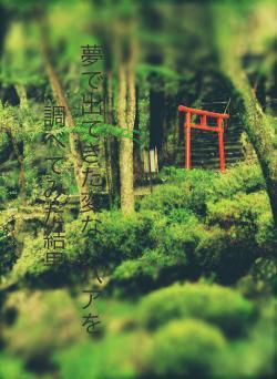 夢で出てきた変なババアを調べてみた結果