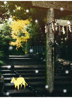 前世あやかし狐だった私は、恋人だった晴明様を思い出せない