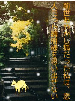 前世あやかし狐だった私は、恋人だった晴明様を思い出せない