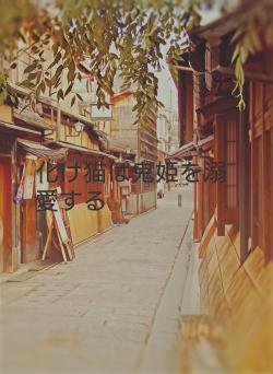 化け猫は鬼姫を溺愛する