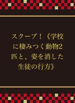 スクープ!《学校に棲みつく動物2匹と、姿を消した生徒の行方》