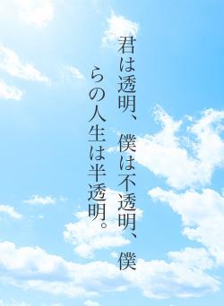 君は透明、僕は不透明、僕らの人生は半透明。