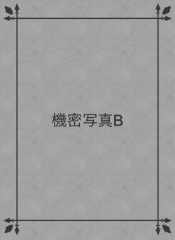 機密写真B