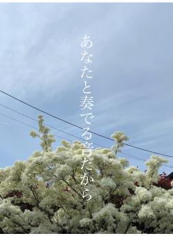 あなたと奏でる音だから