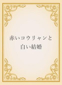 赤いコウリャンと白い結婚