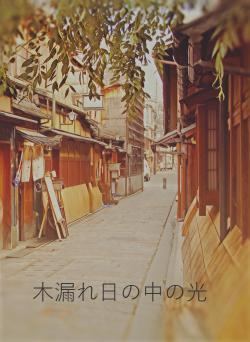 木漏れ日の中の光