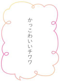 かっこわいいチワワ