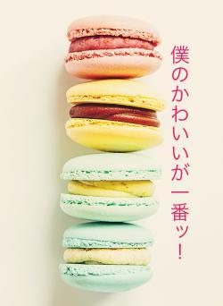 僕のかわいいが一番ッ！