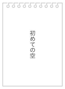 初めての空