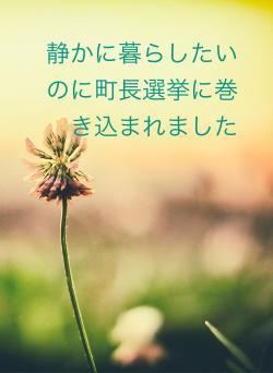 静かに暮らしたいのに町長選挙に巻き込まれました