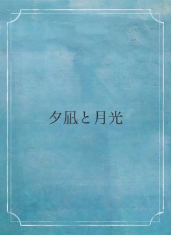 夕凪と月光