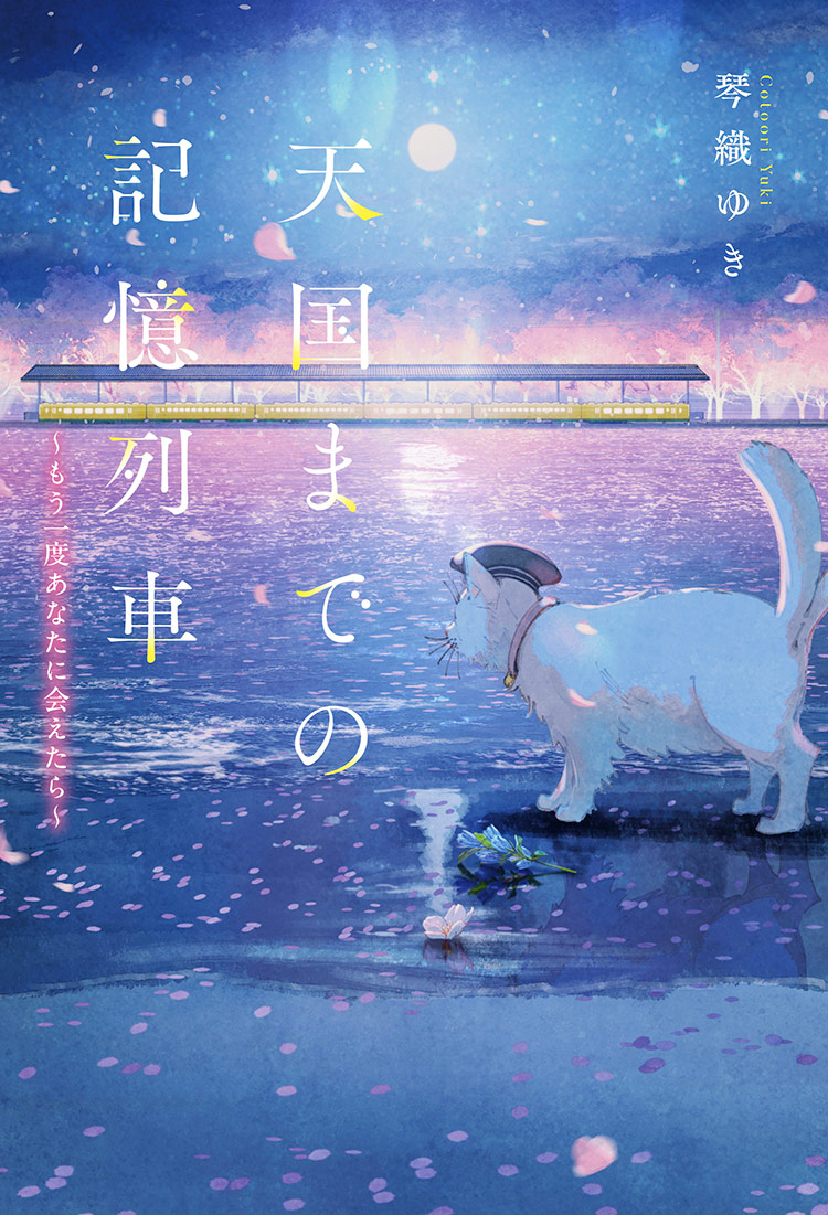 天国までの記憶列車~もう一度あなたに会えたら~