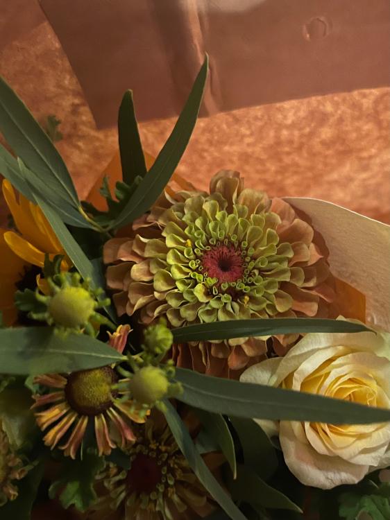 きらめきを宿して