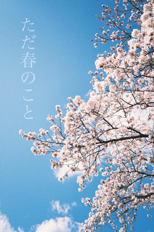 ただ春のこと