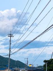 思春期の青へ