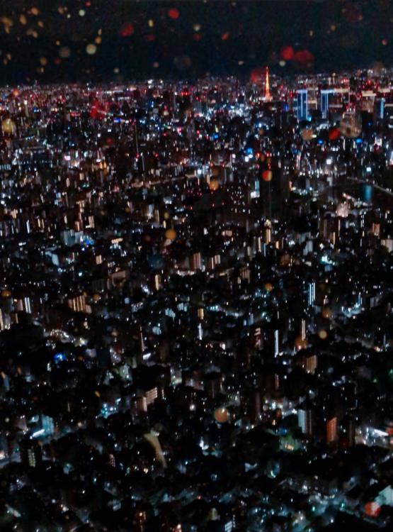 クズを蹴散らし、夜ふたり、【改稿中】