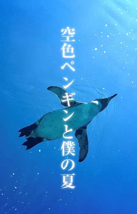 空色ペンギンと僕の夏