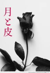 月と皮