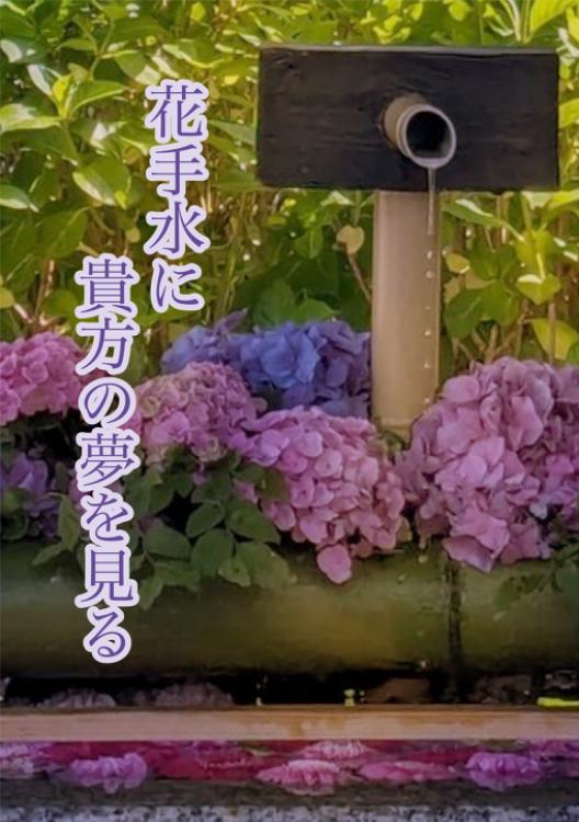 花手水に貴方の夢を見る