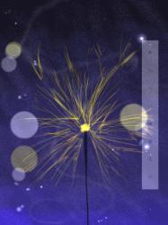 朽ちない線香花火