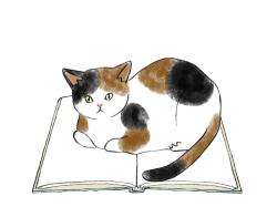 夏目堂のお姫さま