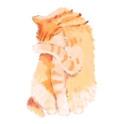 夏とトマトとたぬき猫