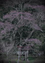 ◼️◼️◼️にまつわる物語