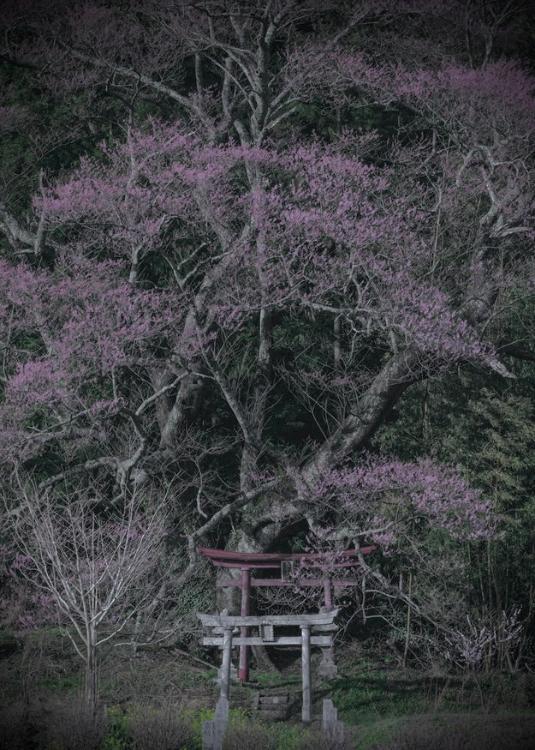 ◼️◼️◼️にまつわる物語