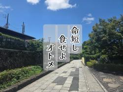 命短し食せよオトメ　～歴史が動くそのときに～