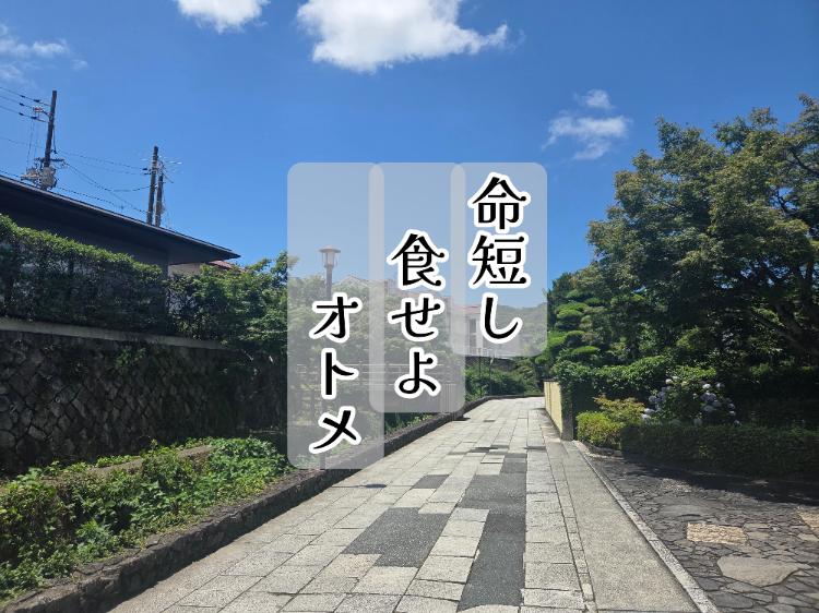 命短し食せよオトメ　～歴史が動くそのときに～